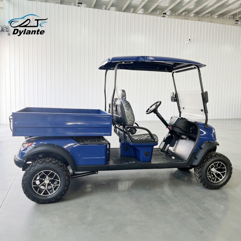 2-Seater Electric Utility Vehi - огляд і ціна Urban Farming Or The