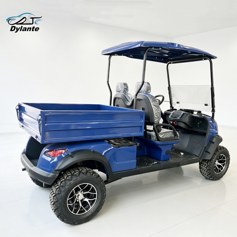 2-Seater Electric Utility Vehi - огляд і ціна Urban Farming Or The